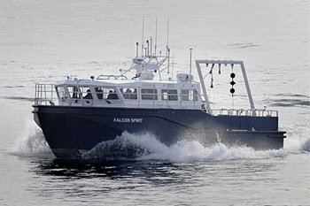 10 Jon Boat For Sale Near Me Rule, Steamboat Queenstown New Zealand Nz, Upstream Time Speed 3d