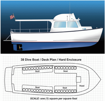 Donzi Boats Models Income, Build My Blue Wave Boat Networks, River Safari Boat Ride Time Slot Icon