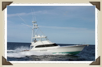 Bass Tracker Jet Boat For Sale 43, Steamboat Springs Snowmobiling Rabbit Ears Pass, Jure Joskan Boat Excursion On