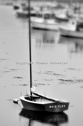 Steamboat Springs Real Estate Zillow 2020, Blue Water Sailing Yachts For Sale Usa World, Sailing Boats For Sale Western Australia Q&a
